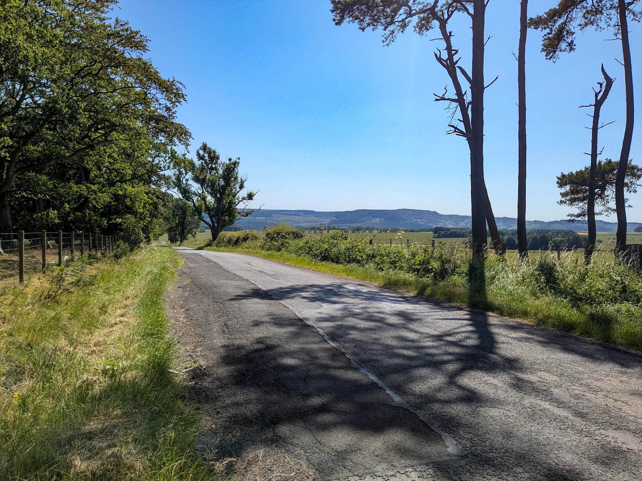 Colour photograph looking down a road which dips and curves out of sight. It is bordered by grassy verges and trees, some of which cast shadows on the road. The sky is very blue.