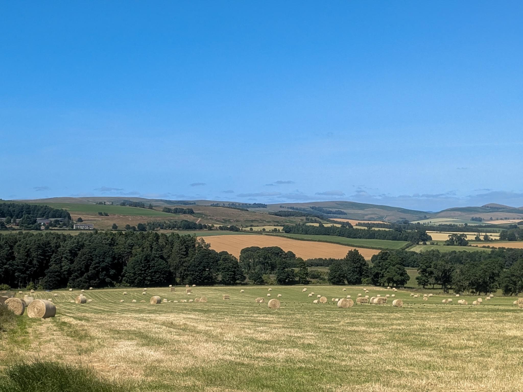 Colour photograph looking out over a grassy field dotted with large round hay bales. Further fields and trees rise gradually to hills in the distance. The sky is a cloudless blue.