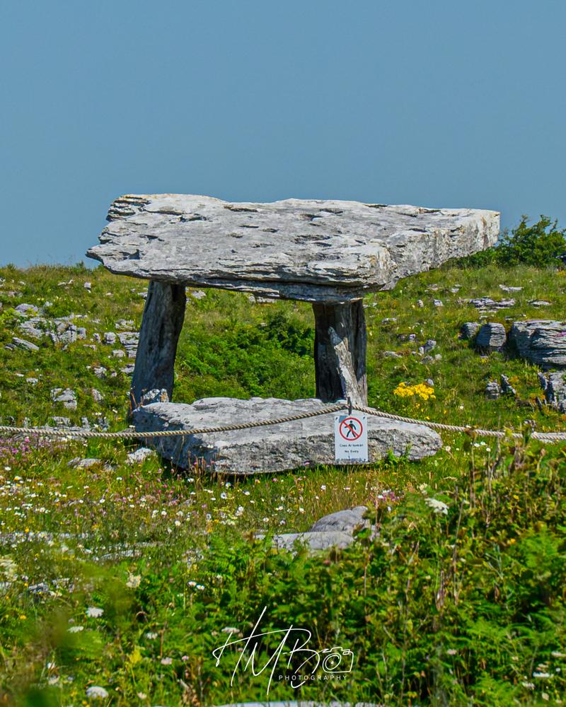 Poulnabrone Dolmen - that a great many people and coach groups come to visit. It is thousands of years old. A large flat stone lies on the ground. Two ‘legs’ of stone hold up another large slab, so it sits horizontally above.  It is surrounded by short flowery vegetation and some shrubs.  Some tourists were expressing astonishment that this was more than a century old as we walked by…..