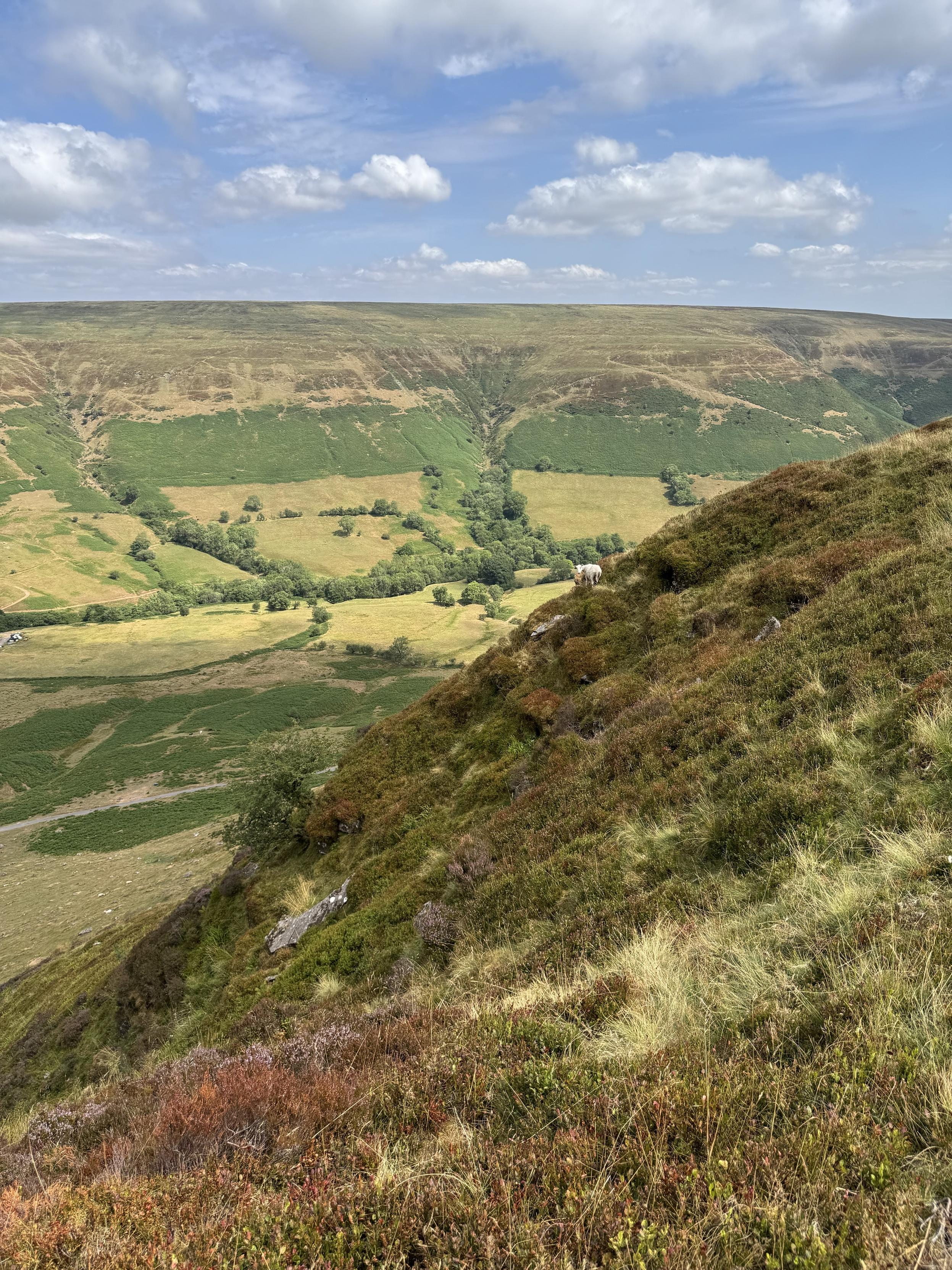 Far reaching view from top of mountain looking back along Gospel Pass. The path is high up on a steep side of the valley.  The valley is a green and golden mixture of fields and heathland with some hedges and woods on the lower slopes.