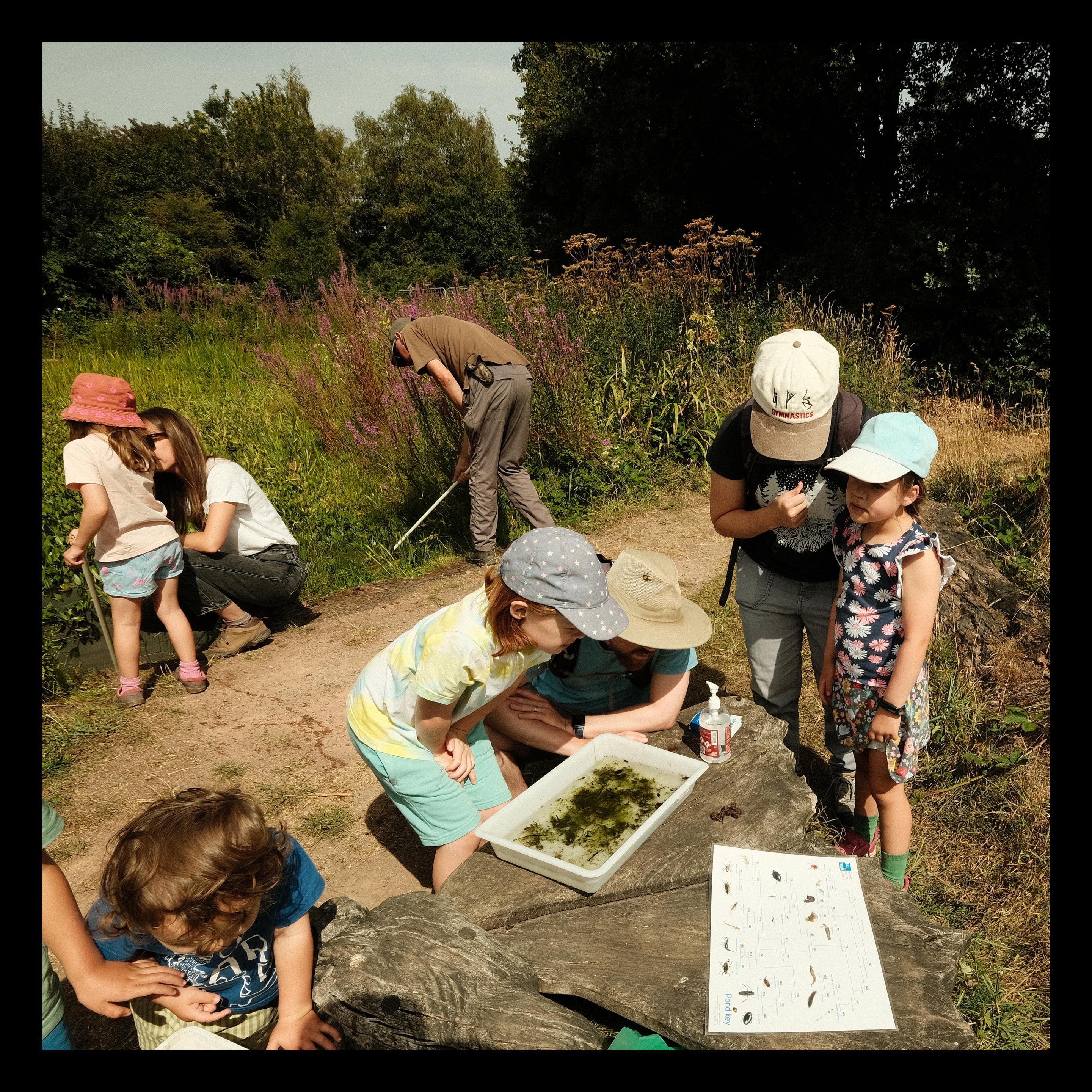 Disgrifiad (Cymraeg) : Plant yn edrych ar fywyd y pwll

Description (English) : : Children looking at pond life.

འགྲེལ་བཤད།(བོད་ཡིག) : རྣལ་མ་ (rnal ma) natural