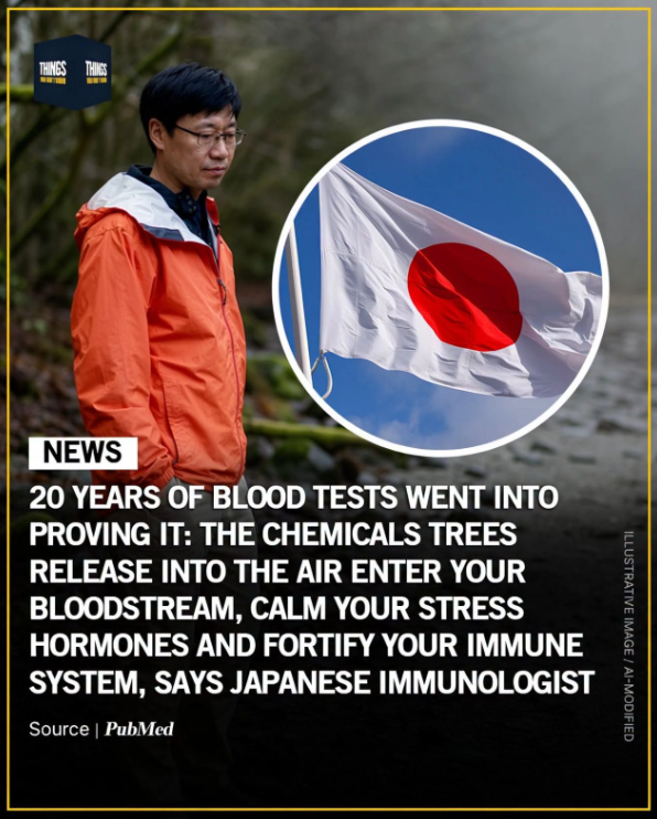 The meme with a Japanese flag and researcher on it says: 20 years of blood tests went into proving it; the chemicals trees release into the air enter your bloodstream, calm your stress hormones and fortify your immune system, says Japanese immunologist.

“Coniferous forests produce higher levels of phytoncides, which play a crucial role in the benefits of forest bathing,” he explains.


https://alotusinthemud.com/science-of-forest-bathing-dr-qing-li/

