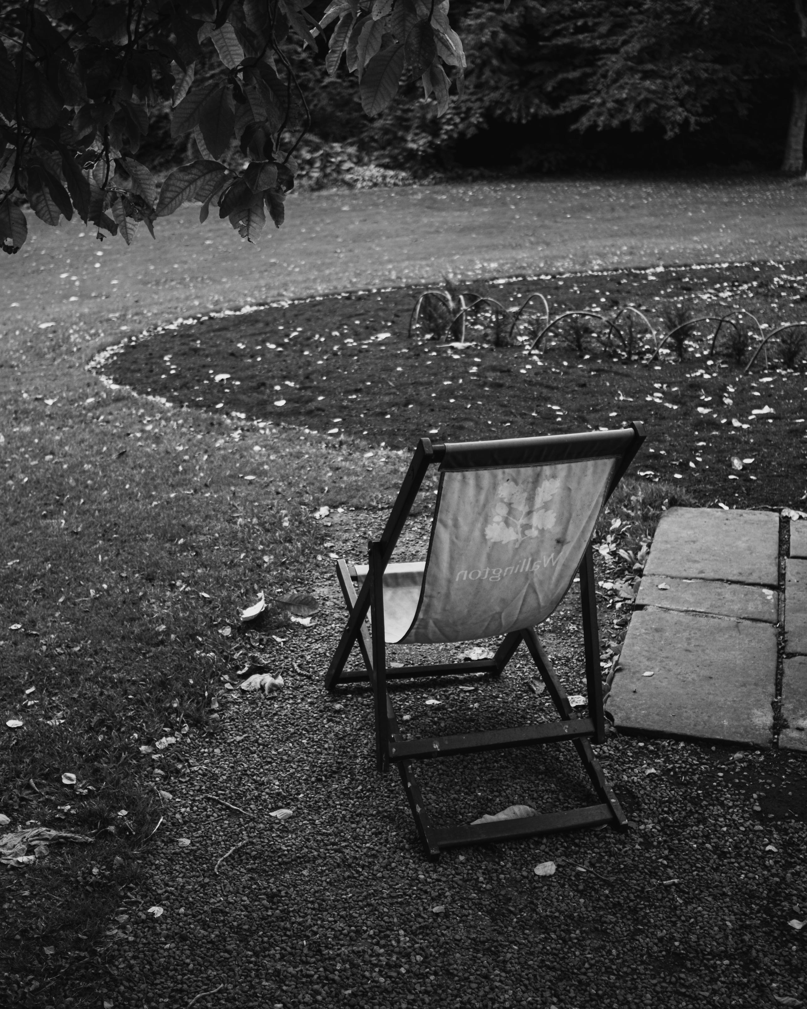 A black-and-white photograph of a National Trust deck chair overlooking a lawn area with a border to the right and a tree overhanging the deck chair.